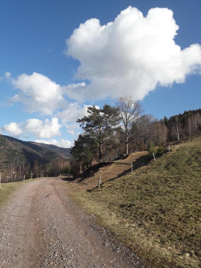 Hébergement François Mathieu Saint-Maurice-sur-Moselle Exterior foto